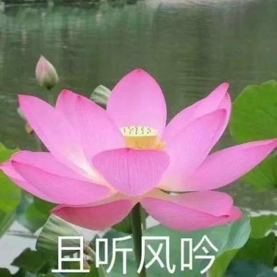 烈火雷霆手游星辉游戏下载